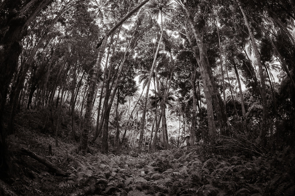 Ua Huka, Marquesas (2014)